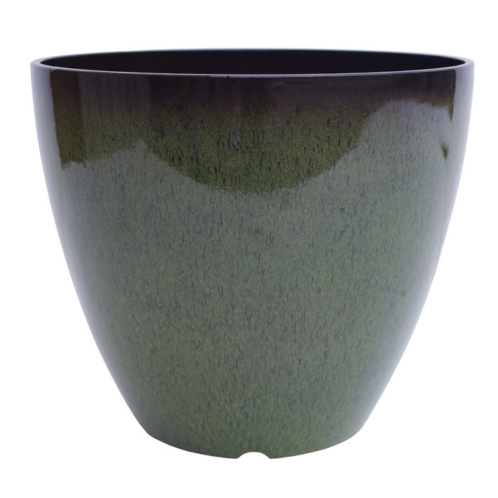 Ebern Designs The Your Choice Patio And Indoor Garden 12” Ceramic Resin